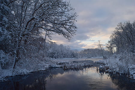 snowy riverbank with bare trees under cloudy sky during daytime thumbnail