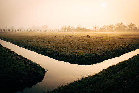 river beside green farm thumbnail