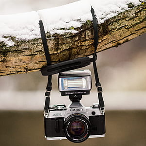 Black and Gray Canon Dslr Camera Hanging on Brown Tree Trunk With Snow thumbnail