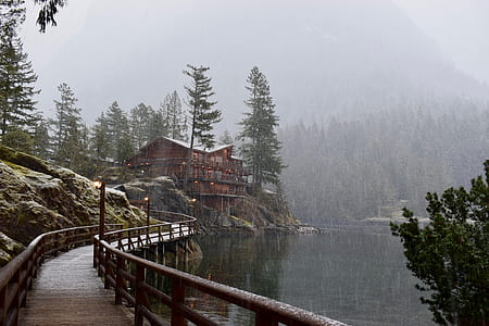 brown wooden bridge near brown wooden house under gray sky thumbnail