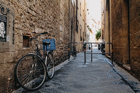 parked black and gray bicycle thumbnail