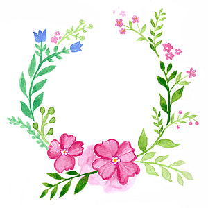 pink and green petaled flower digital wallpaper thumbnail