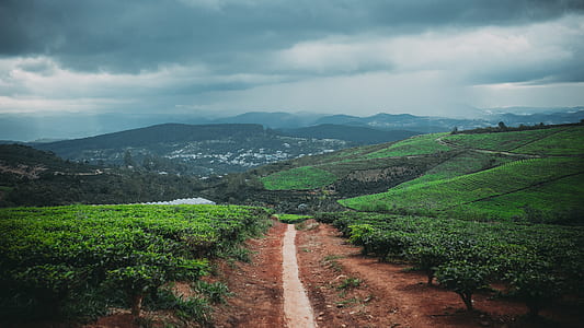 photo of pathway heading mountain thumbnail