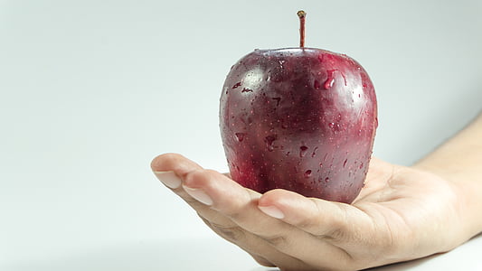 closeup photo of person holding red apple fruit thumbnail