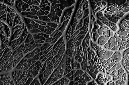 gray and black vein abstract artwork thumbnail