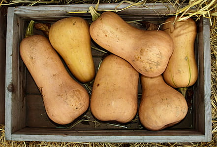 crate of squash thumbnail