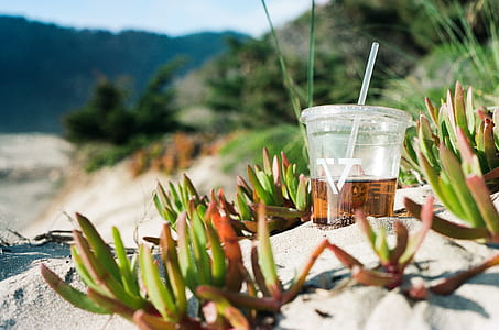 green plant thumbnail