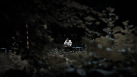 selective photography of man sitting on bench surrounded by trees thumbnail