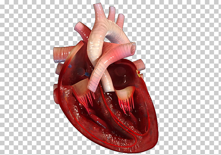 Page 40 10 222 Wallpaper Heart Png Cliparts For Free Download Uihere