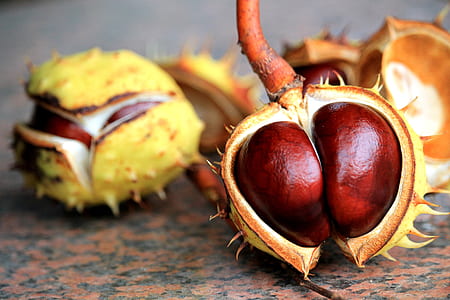 selective focus photography of fruit on brown surface thumbnail
