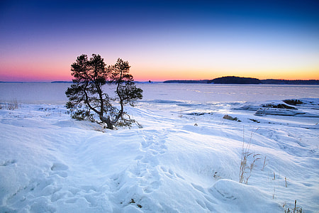 snow covered field at golden hour thumbnail