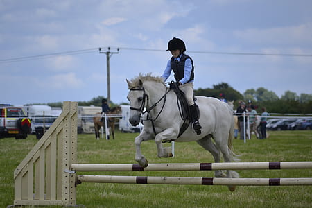 person riding horse thumbnail