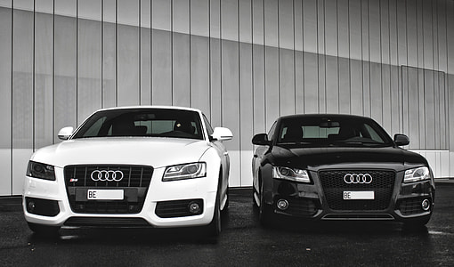 two black and white Audi cars thumbnail
