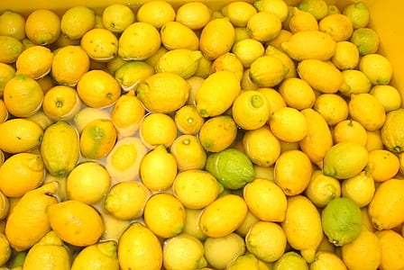 pile of yellow papaya thumbnail