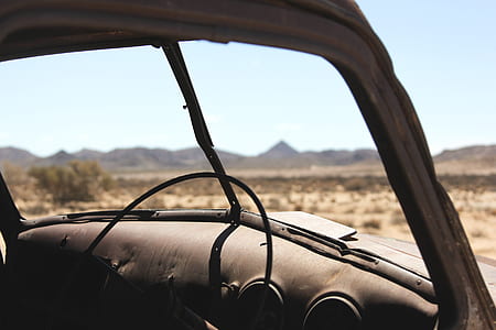 vehicle near bush under clear blue sky during daytime thumbnail
