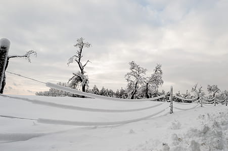snow covered fence thumbnail