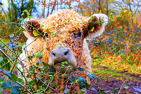brown cow on grass field thumbnail