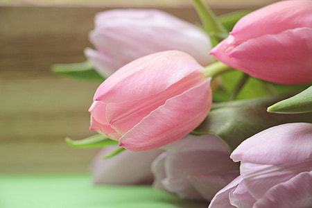 purple and pink tulip bouquet thumbnail