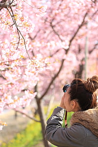 woman taking picture of cherry blossom tree thumbnail