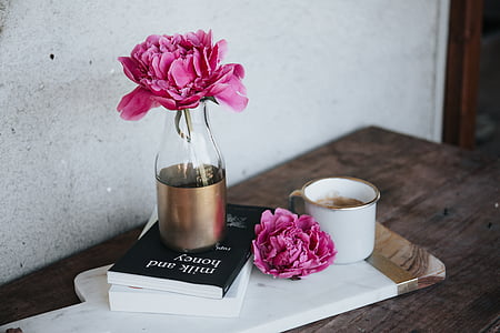 pink flower on clear glass vase placed on top of black covered book thumbnail