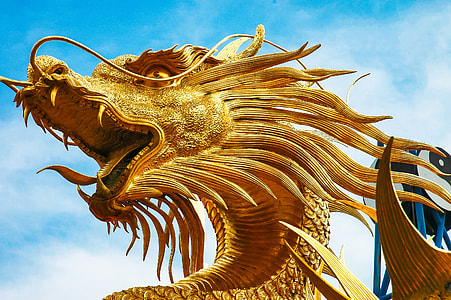 low angle photography of Dragon head statue under blue sky thumbnail