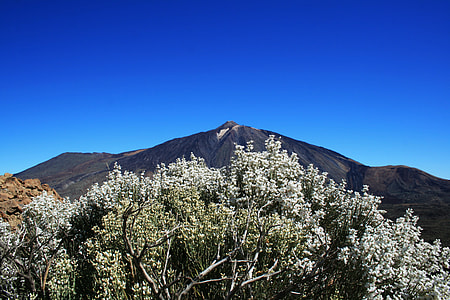 Canary Islands, Teide National Park thumbnail