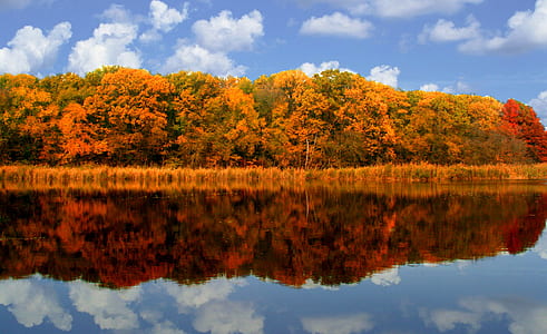 photo of body of water across green and orange trees during daytime thumbnail