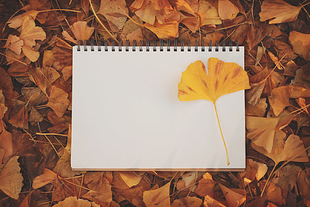 yellow flower on white spiral notebook thumbnail