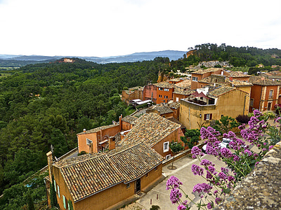 pink flowers near orange houses aerial photography thumbnail