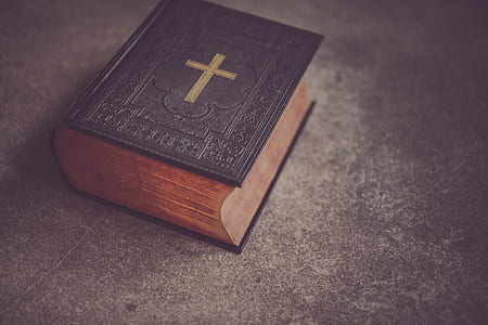 closed black hardbound Bible on gray surface thumbnail