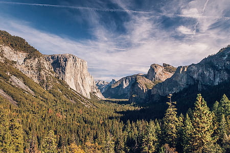 mountain surrounding trees thumbnail