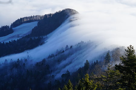 cloud covered mountain forest thumbnail