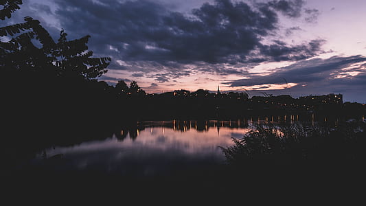 silhouette photo of trees near body of water thumbnail