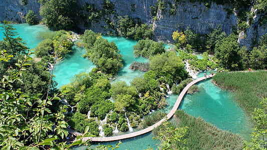 aerial photo of road between body of water and trees during daytime thumbnail