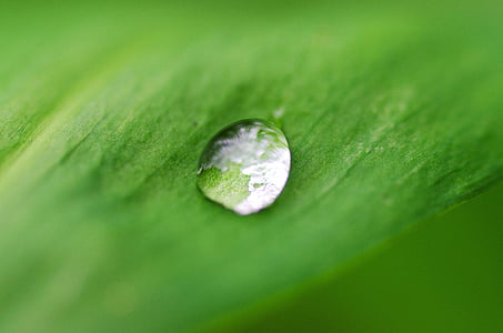 macro photo of dew thumbnail