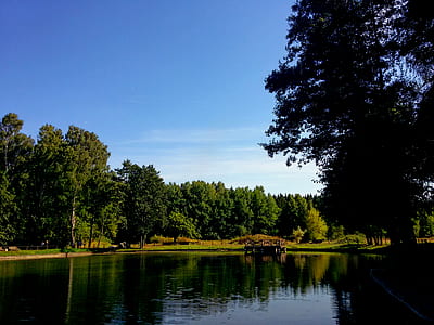 dawn, landscape, nature, water thumbnail