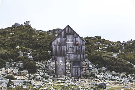 gray wooden shed beside green leafed trees thumbnail