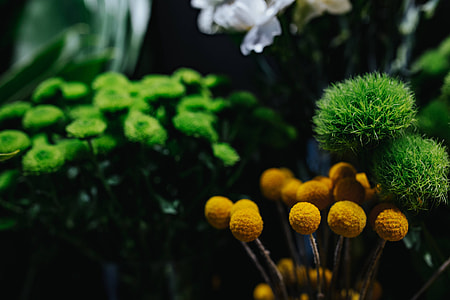 Collection of colourful flower bouquets thumbnail