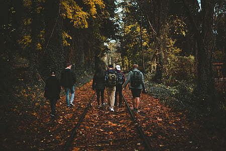 people under tree thumbnail