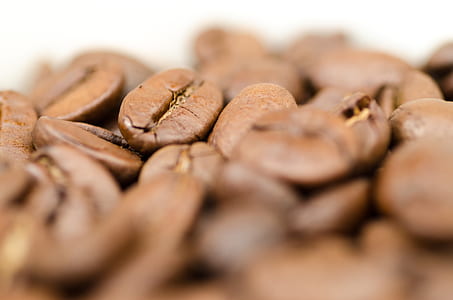 Closeup Photography of Coffee Beans thumbnail