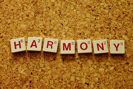 closeup photo of harmony scabble piece thumbnail