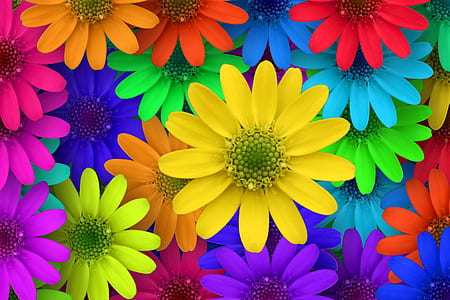 red, blue, green, yellow, and orange flowers illustration thumbnail