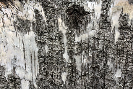 gray and brown rock formation thumbnail