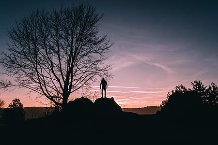 person standing near tree thumbnail