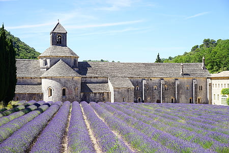 lavender field near gray brick building at daytime thumbnail