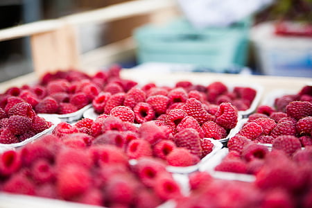 plates of raspberries thumbnail