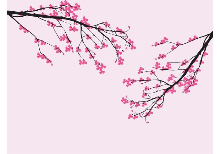 Vector Cherry Blossom ai file