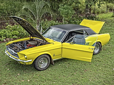 classic yellow Ford Mustang convertible coupe parked on green grass thumbnail