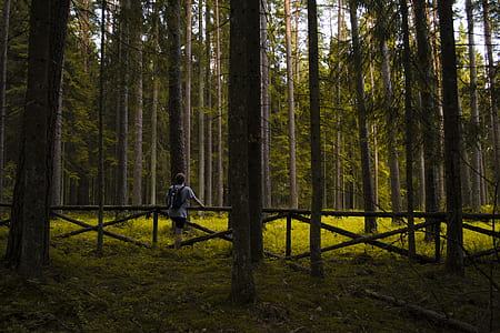 person lean on black fence thumbnail
