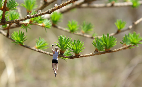 man holding on green leaf plant thumbnail